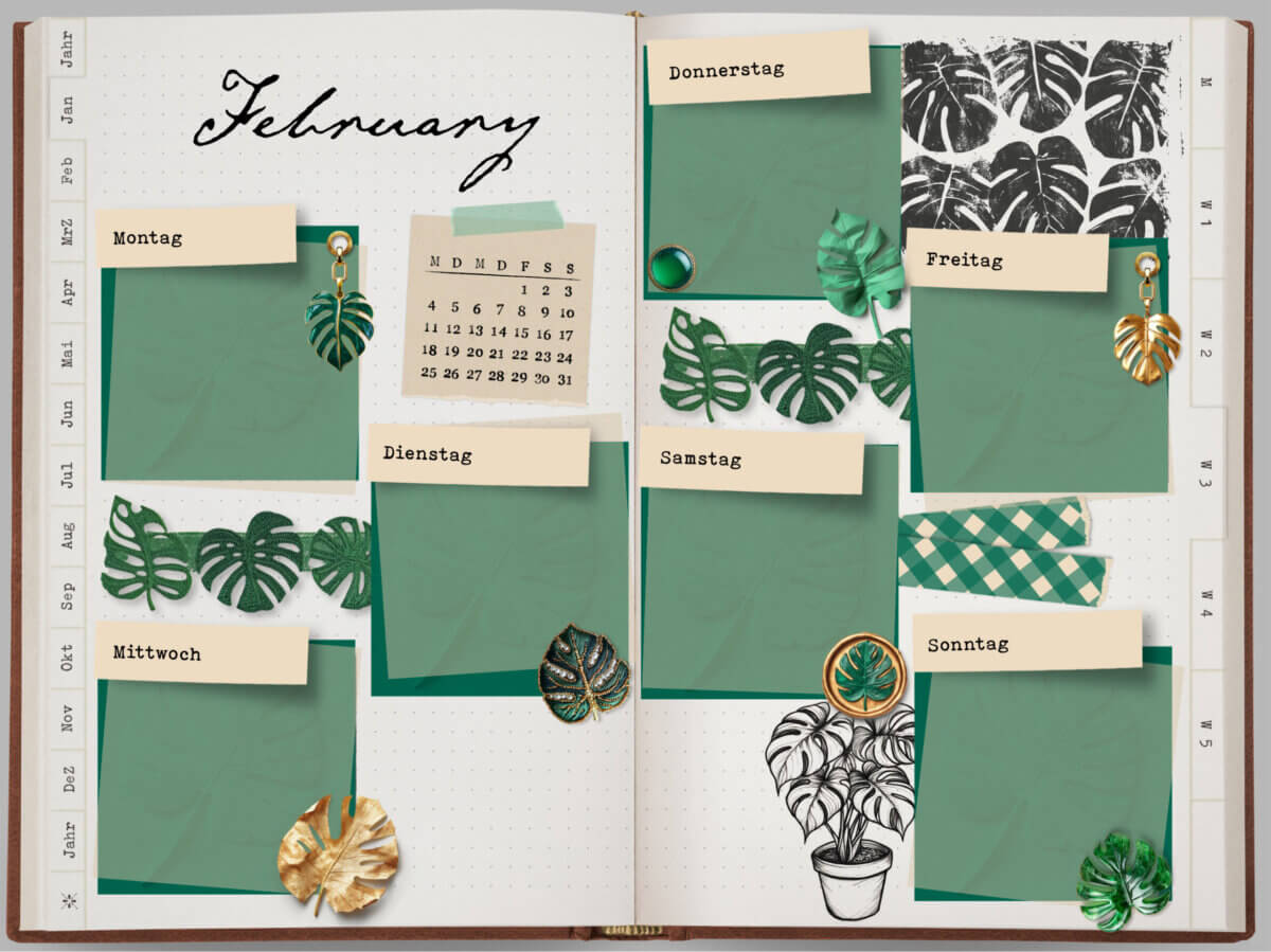 Monstera Weekly