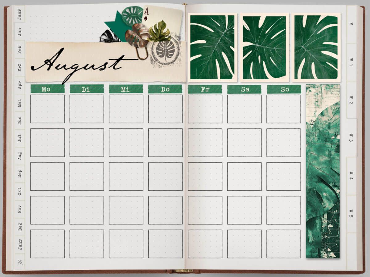 Monstera Weekly