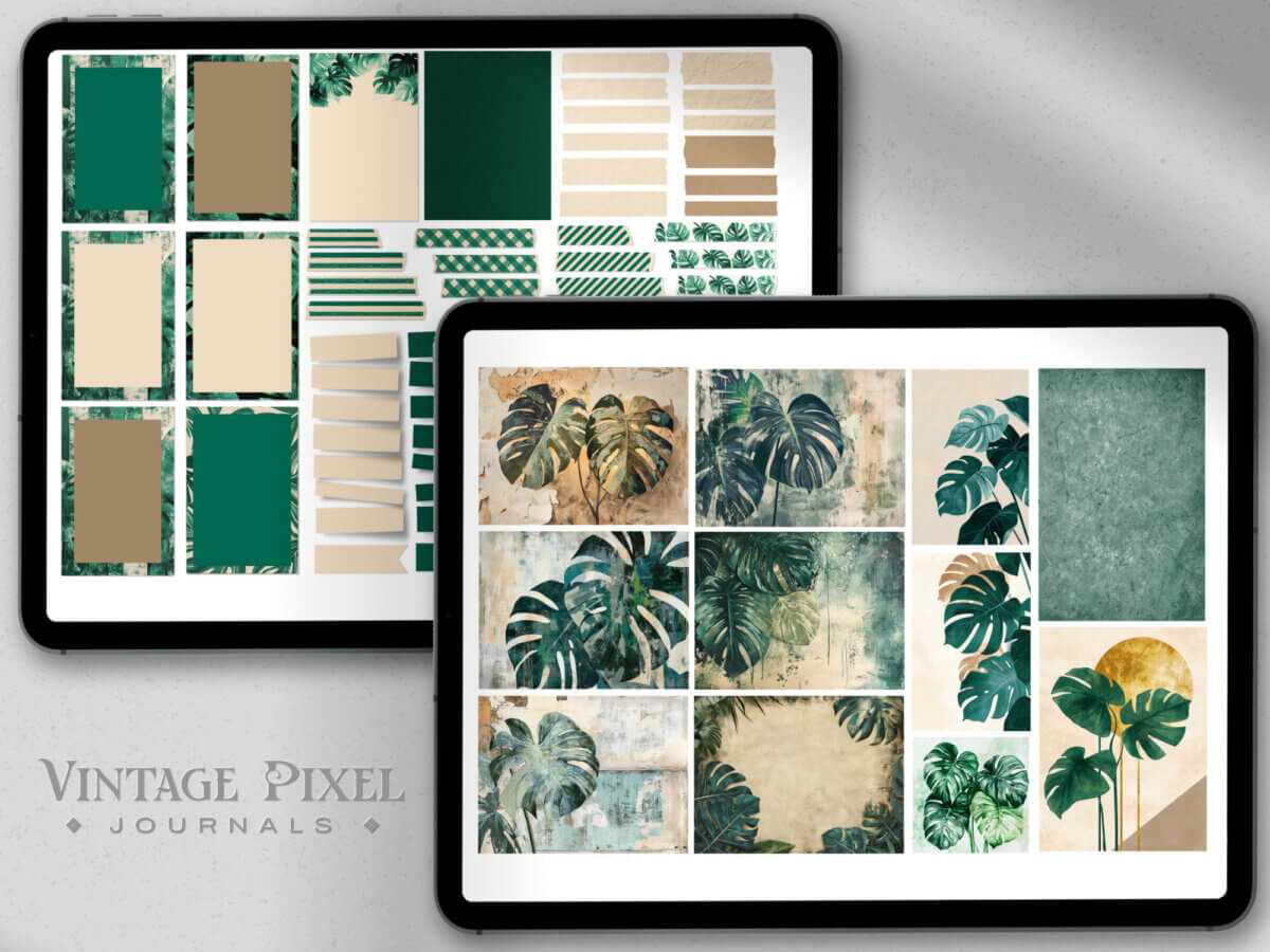 Shopbeschreibung Obsession Monstera