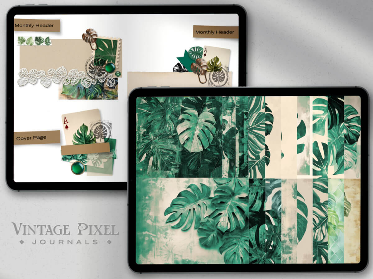 Shopbeschreibung Obsession Monstera