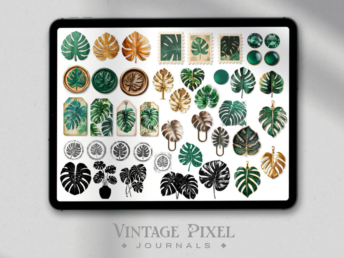 Shopbeschreibung Obsession Monstera